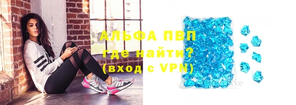 прущие грибы Дмитровск