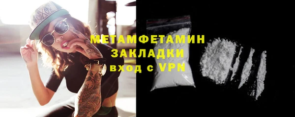 прущие грибы Дмитровск