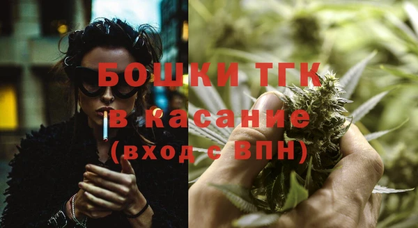 прущие грибы Дмитровск