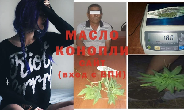 прущие грибы Дмитровск