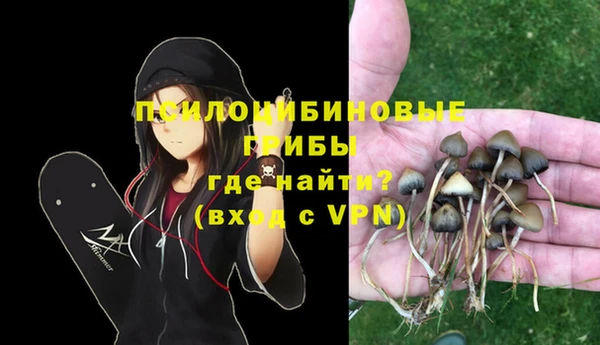 прущая мука Медвежьегорск