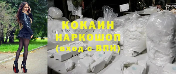прущие грибы Дмитровск