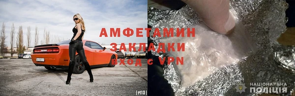 прущие грибы Дмитровск