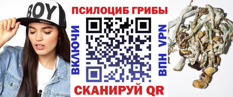Галлюциногенные грибы Psilocybine cubensis  цены   Духовщина 